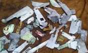 Решткі ланцету Кліщіївка