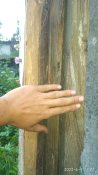 IMG_20220609_210721.jpg