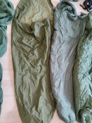 IMG_20231128_091014.jpg