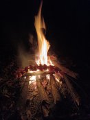 IMG_20231128_163712_827.jpg