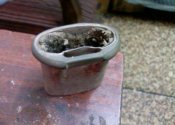 PIC-0065.jpg