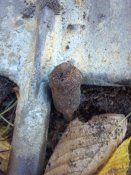 2013-10-19_12-13-52_296.jpg
