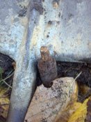 2013-10-19_12-14-02_52.jpg
