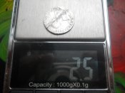 DSCN0334.jpg