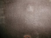PA190121.JPG