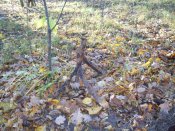 159_2031.JPG