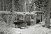 Westwall02.jpg