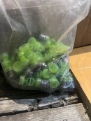 IMG_3367.jpeg