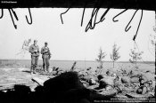 20160714100312-587a6b50-me.jpg