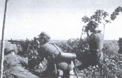 i_010.jpg
