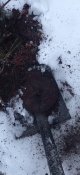 IMG_20231203_073926.jpg