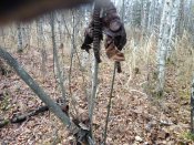 IMG_1118.JPG