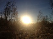 IMG_1113.JPG