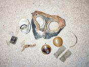 IMG_20231206_104803.jpg