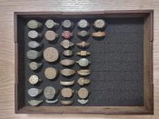 IMG_1421.jpeg