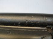 IMG_3700.JPG