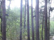 IMG_5649.JPG