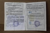 ММГ Томпсон 1928 А1