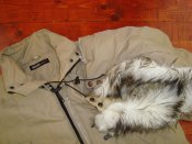 DSC08008.JPG