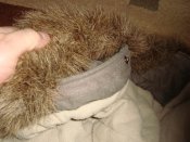 DSC08150.JPG