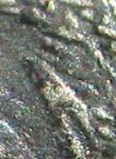 IMG_9961юш.jpg