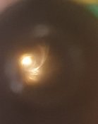20231129_195251.jpg