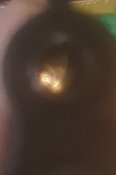 20231129_195256.jpg