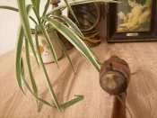 9#Щ  Люлька для палiння з Францii
