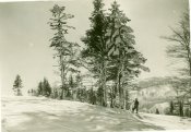 сканирование0035.jpg