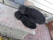 IMG_20231023_084437_319.jpg