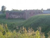 DSC00228.jpg