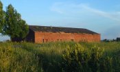 DSC00231.jpg