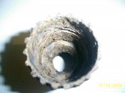 PIC_0484.jpg