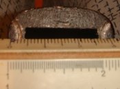 DSC04486.JPG