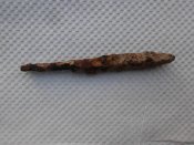 DSCI0137.JPG