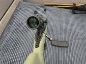 IMG_4105.jpeg