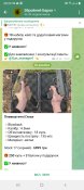 Screenshot_20231223-082902_Telegram.jpg