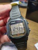 часы Casio W-800HG-9A