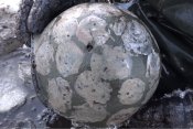СШ-40-точечный-окрас-зимний.jpg