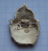 Знак ЦК ВЛКСМ За активную работу с пионерами