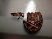 IMG_20131023_185048.jpg