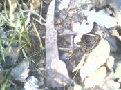 IMG0123A.jpg