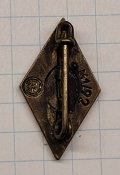 Знак Гітлер Югент