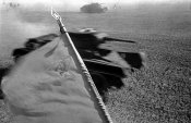 IMG_0934.jpeg