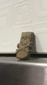 IMG_7051.jpeg