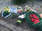 Изменение размера DSCF0158.JPG