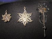 IMG_8549.JPG