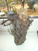 DSC08616.JPG