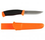 Companion Orange 11824.jpg