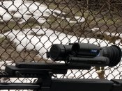 IMG_2176.jpeg